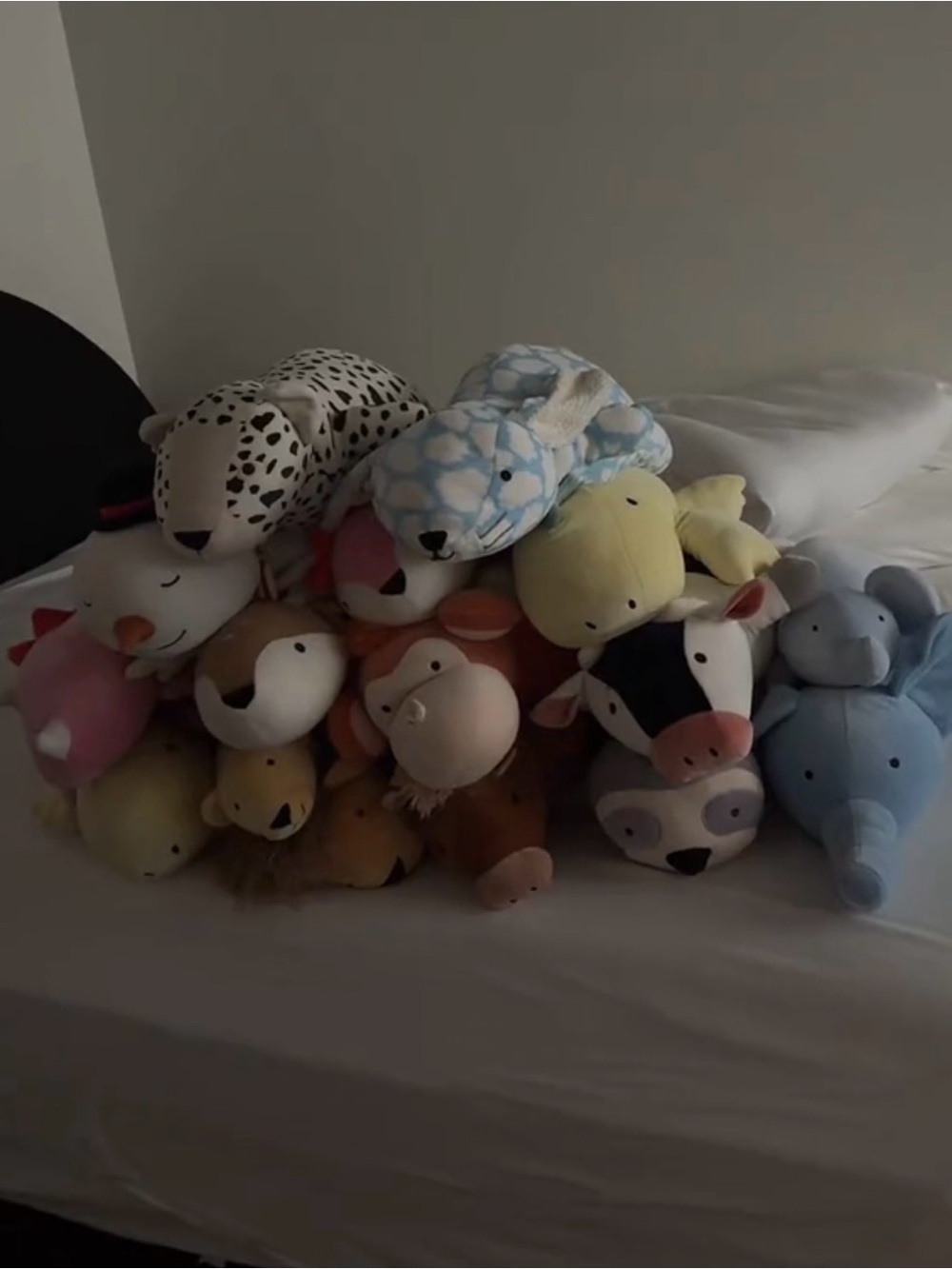 Target Weighted Stuffed Animal bulk pack